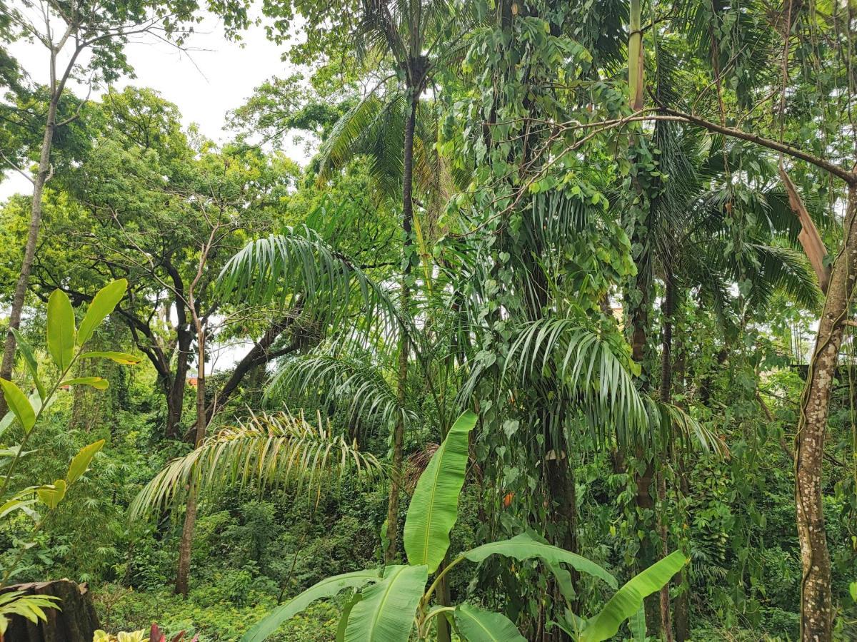 Casa Hadassa La Canada Palenque Eksteriør billede