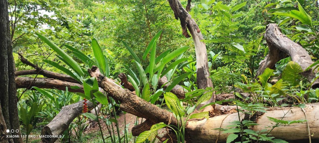 Casa Hadassa La Canada Palenque Eksteriør billede